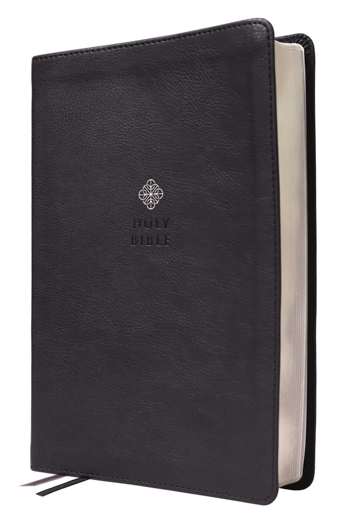 NIV Men's Devotional Bible Large Print Black I/L