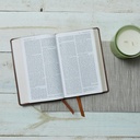 NRSV Bible Catholic Gift Ed Brown I/L (Anglicised)