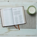 NRSV Bible Catholic Gift Ed Brown I/L (Anglicised)