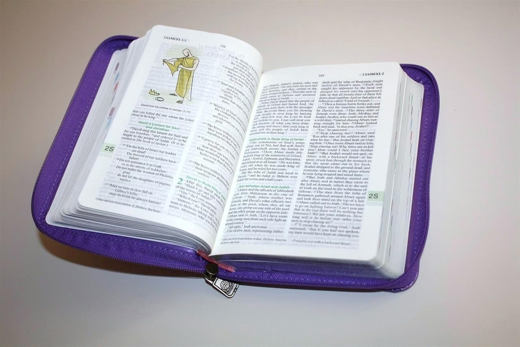 GNB Compact Imitation Leather with Zip Purple
