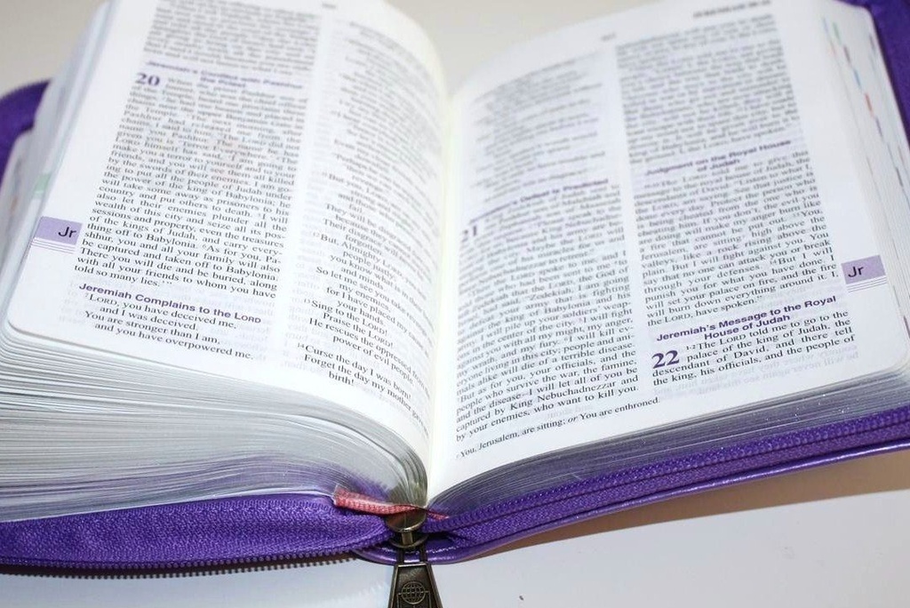 GNB Compact Imitation Leather with Zip Purple