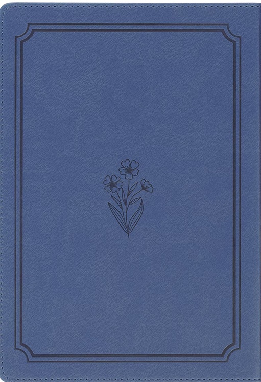 Bless Your Heart Daily Devotional For Women Blue 