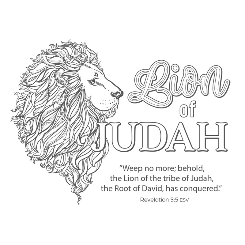 Colouring the Names of Jesus Boxed Cards
