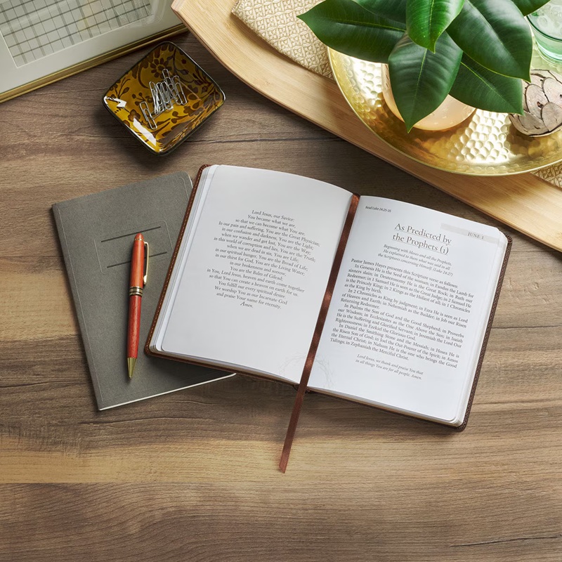Daily Devotional Amazing Grace Two-Tone Brown Faux Leather