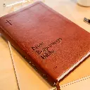 NIV New Beginnings Bible - For New Christians - PU Brown