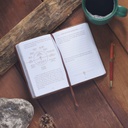 Gospel Courage: 40 Days To Sharing Your Faith Brown Devotional