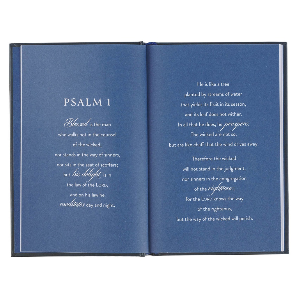 Shaped By God Blue Gift Book
