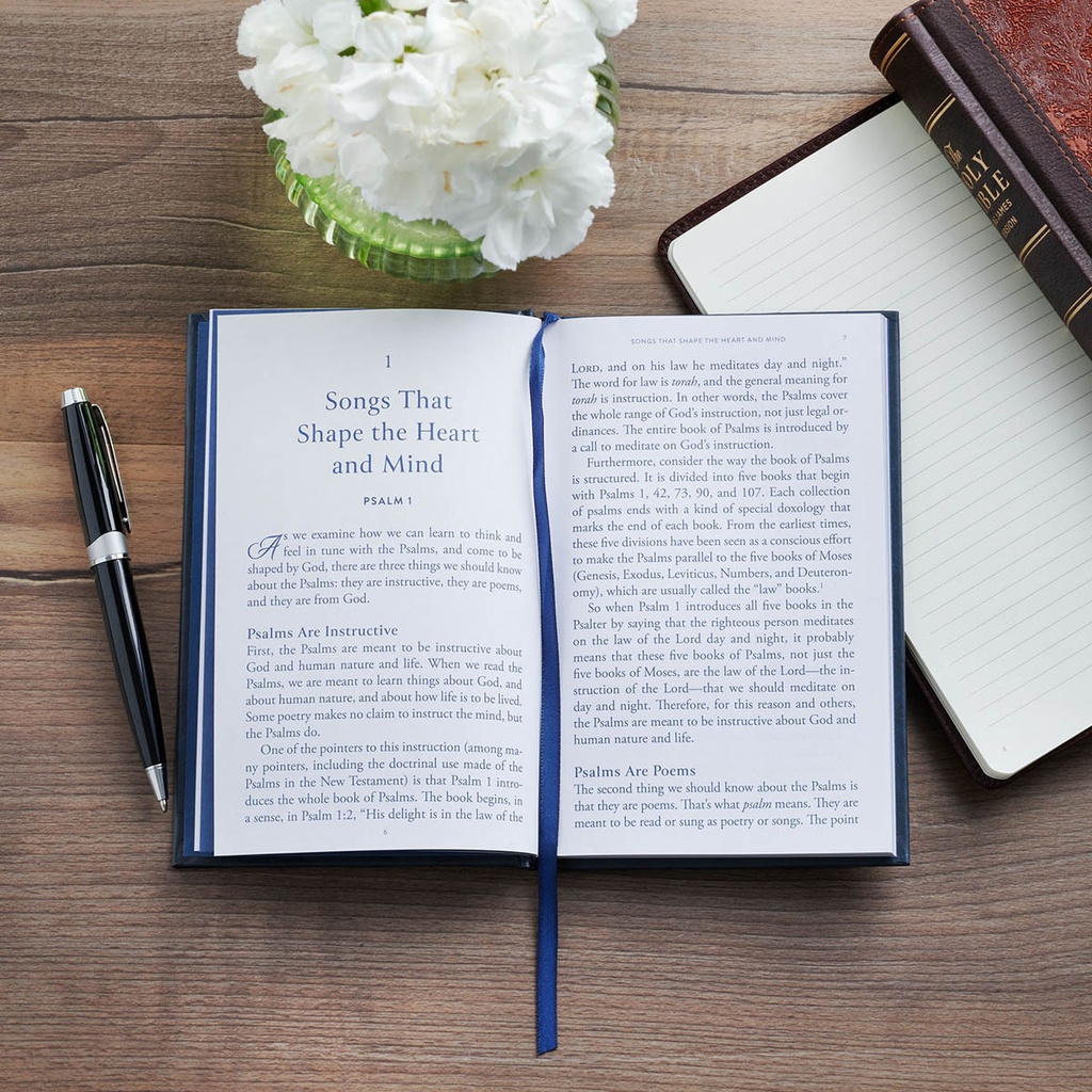 Shaped By God Blue Gift Book