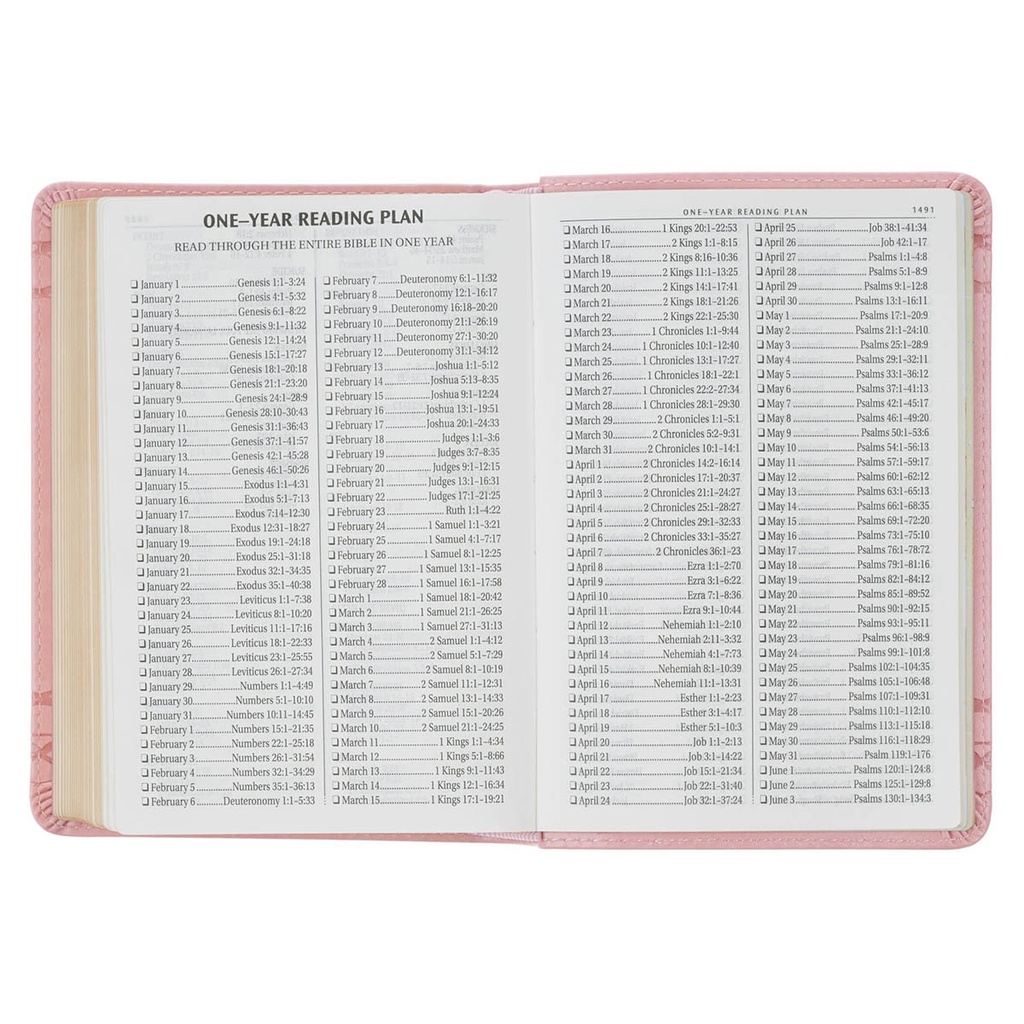 KJV Compact Large Print Crown of Thorns Pink Faux Leather