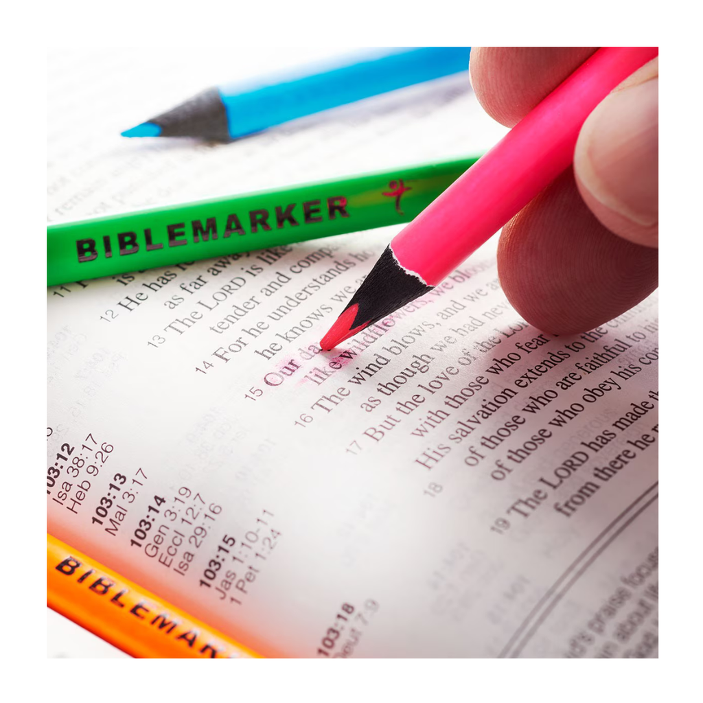 Pencil Highlighter Set