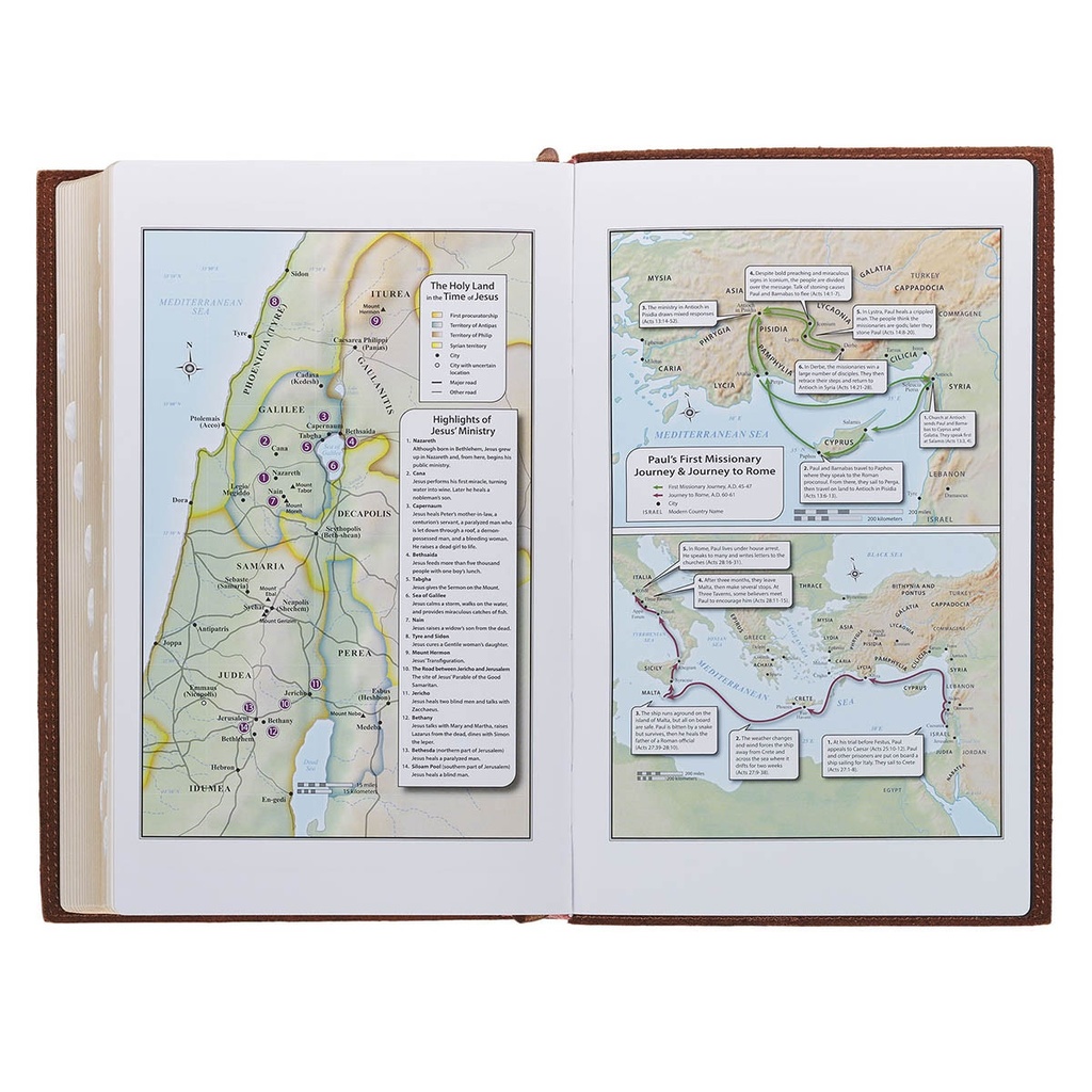 KJV Giant Print Chestnut Brown Full Grain Leather Thumb Index