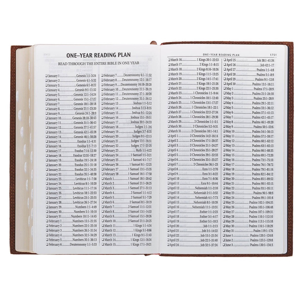 KJV Giant Print Chestnut Brown Full Grain Leather Thumb Index