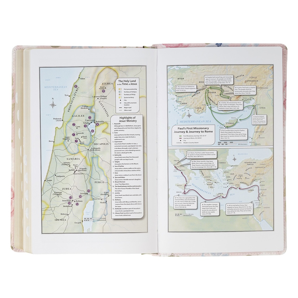 KJV Giant Print I Know The Plans Chestnut Brown Full Grain Leather Thumb Index