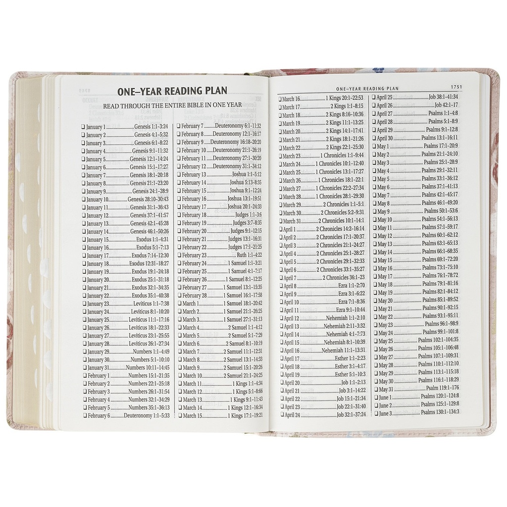 KJV Giant Print I Know The Plans Chestnut Brown Full Grain Leather Thumb Index