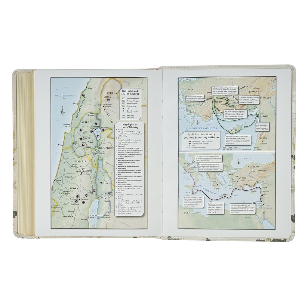 KJV Note-taking Bible Psalm 91:4 Cream Floral