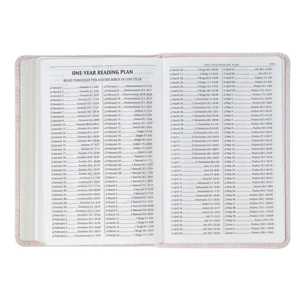 KJV Pocket Bible Blush Rose Faux Leather