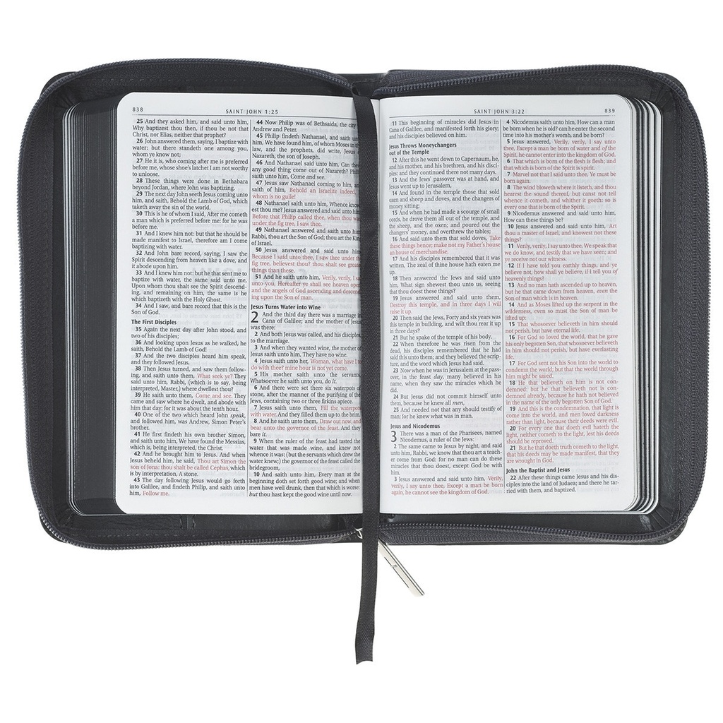 KJV Pocket Bible Grey Lion Faux Leather w/Zipper