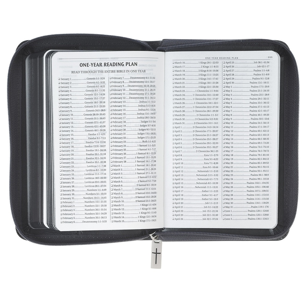 KJV Pocket Bible Grey Lion Faux Leather w/Zipper
