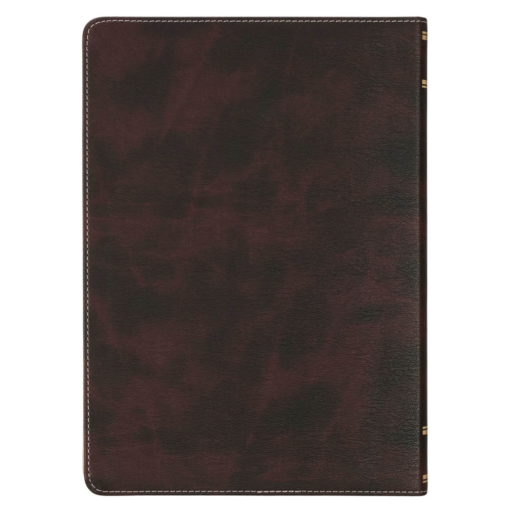 NLT Spiritual Growth Bible Brown/Blush Pink Faux Leather