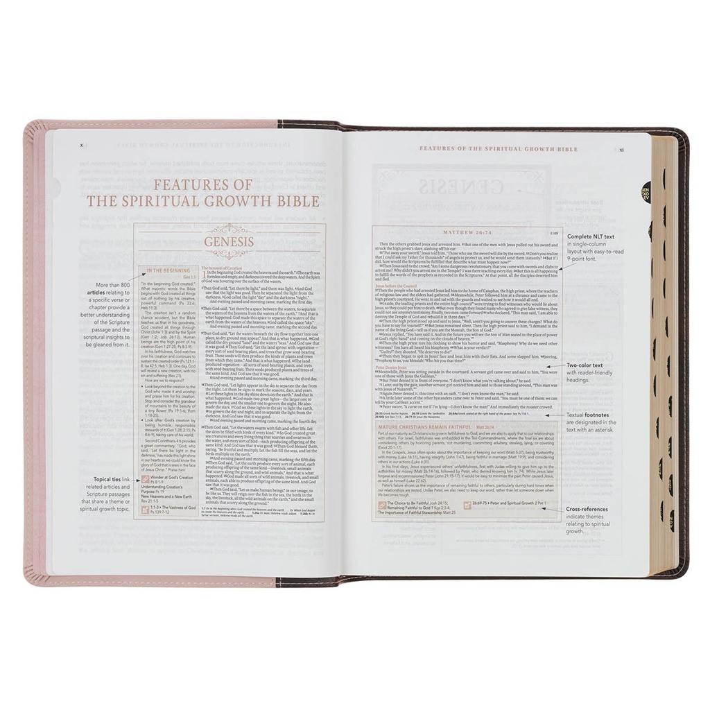 NLT Spiritual Growth Bible Brown/Blush Pink Faux Leather