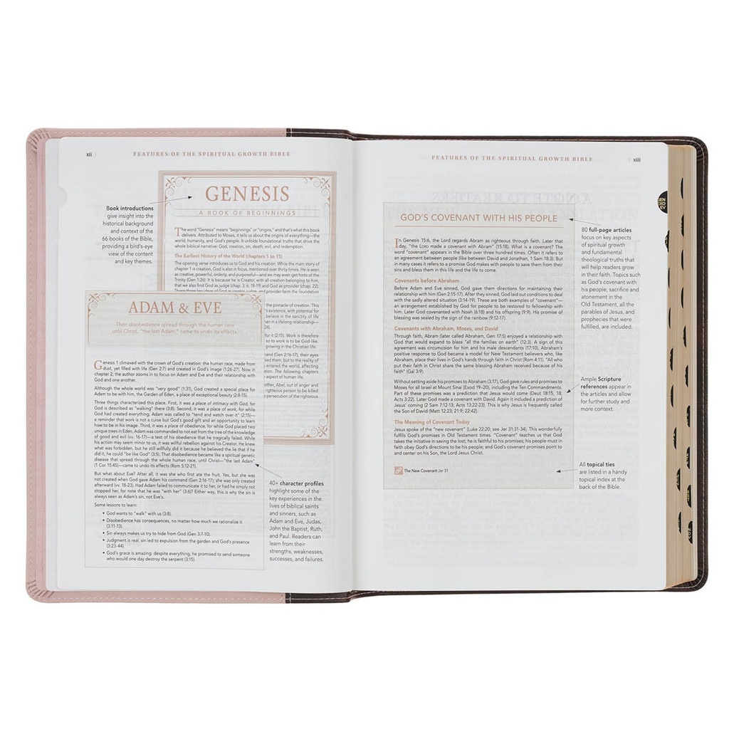 NLT Spiritual Growth Bible Brown/Blush Pink Faux Leather