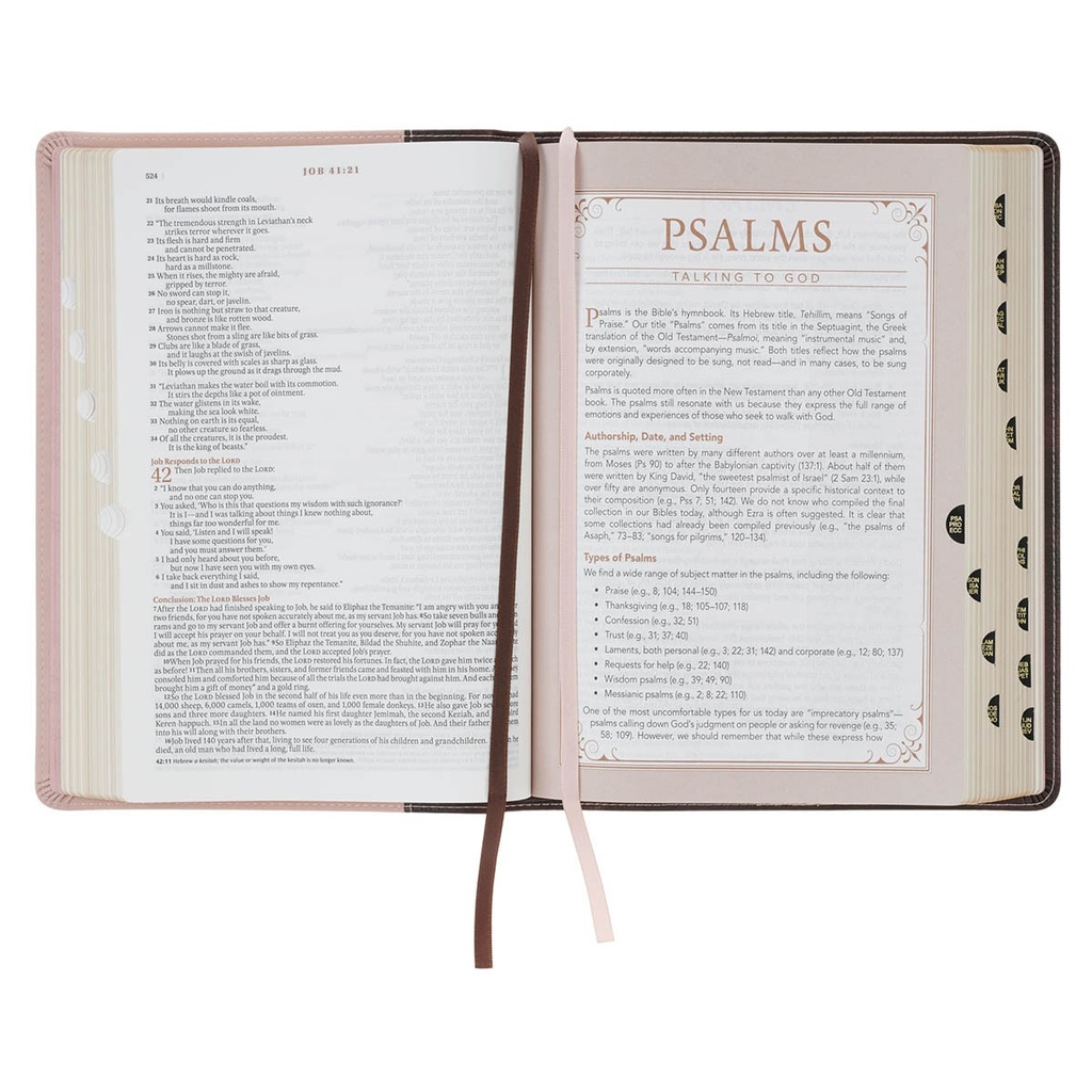 NLT Spiritual Growth Bible Brown/Blush Pink Faux Leather