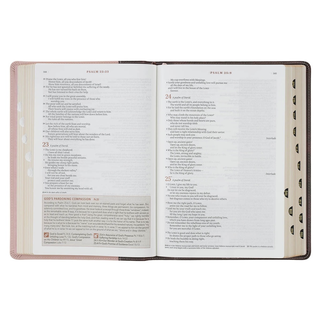 NLT Spiritual Growth Bible Brown/Blush Pink Faux Leather