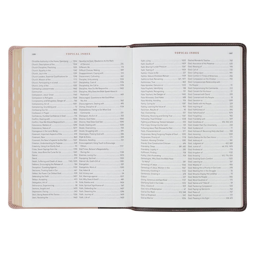 NLT Spiritual Growth Bible Brown/Blush Pink Faux Leather