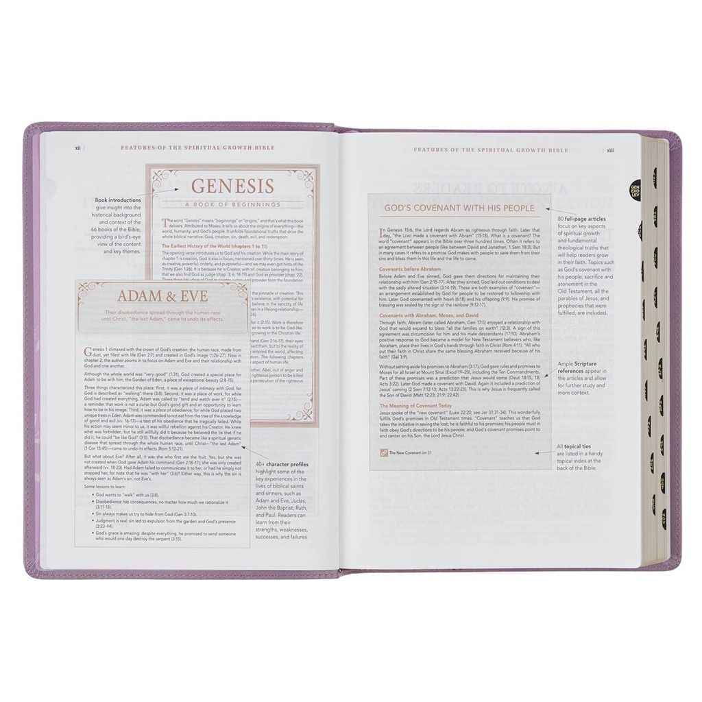 NLT Spiritual Growth Bible Plum Floral Faux Leather