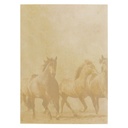 Notebook Perseverence Brown Stallion Medium