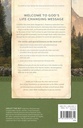 NLT Holy Bible Economy Outreach Edition Mountains