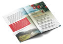 Unwrapping Christmas Booklet