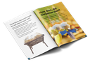 Unwrapping Christmas Booklet