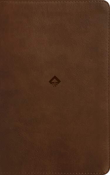 NLT Student Life Application Study Bible Brown