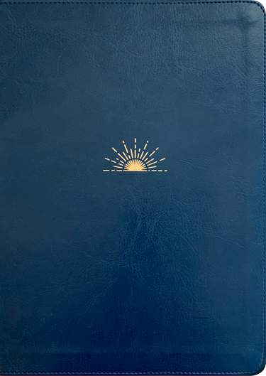 NLT Dayspring Hope & Encouragement Bible Navy I/L