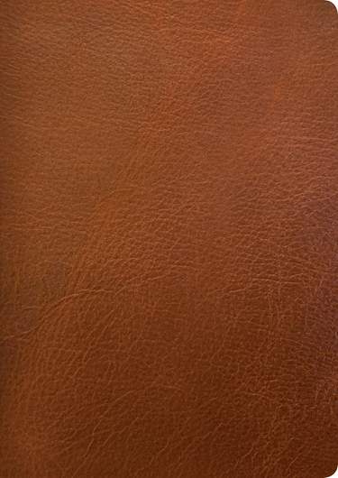 NLT Life Application Study Bible 3rd Edition Large Print