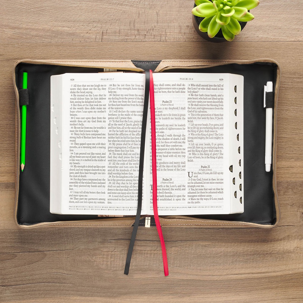 Bible Case Large For I Know The Thoughts Pink Floral