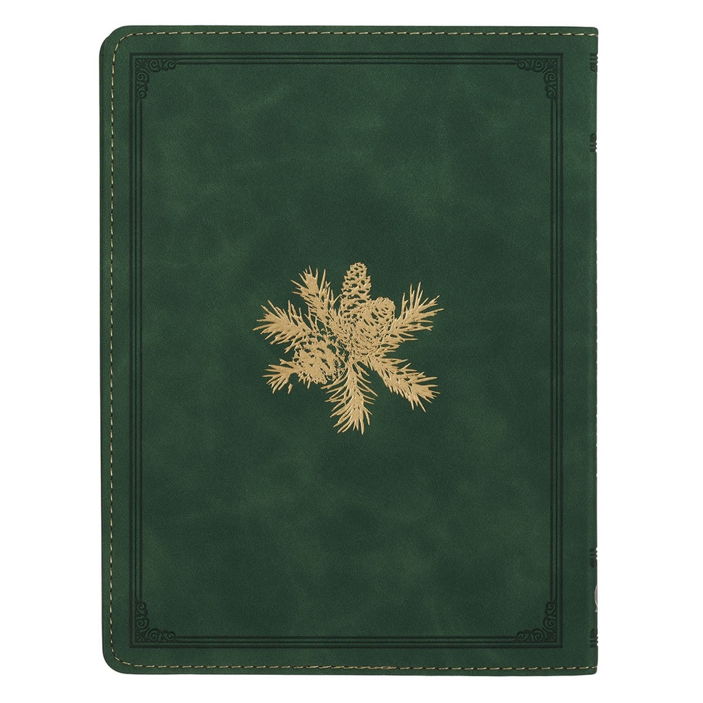 Christmas Grace Advent Devotional Green 