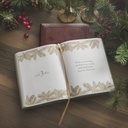 Christmas Grace Advent Devotional Green 