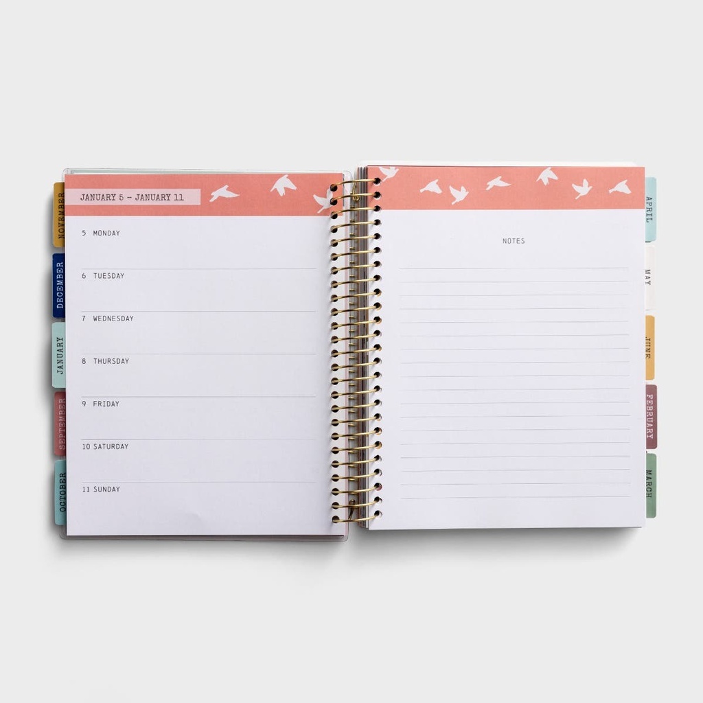 2026 18 Month Agenda Planner His Glory Fills (04/25)