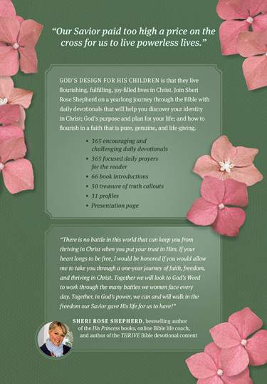 NLT Thrive Devotional Bible For Women Brown Indexed