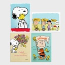 GC: Boxed All Occasion Peanuts