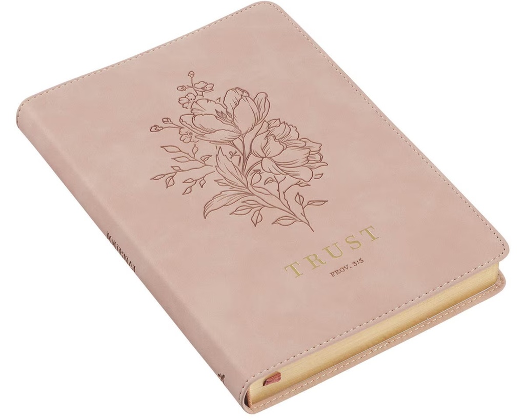 Journal Trust Prov 3:5 Mottled Blush Faux Leather 