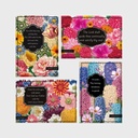 GC: Boxed Thinking of You Wild Flowers