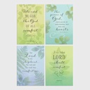 GC: Boxed Sympathy KJV