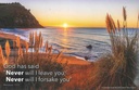 2027 Calendar Bible Gems NZ Scenery 