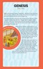 NIrV Tiny Theologians Bible Blue Comfort Print : A Beginner’s Guide to the Bible – for Kids (02/26)