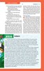 NIrV Tiny Theologians Bible Blue Comfort Print : A Beginner’s Guide to the Bible – for Kids (02/26)