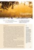 NIV Application Bible Leathersoft Teal/Grey Red Letter, Comfort Print: Bringing the Ancient Message of the Bible into Your World (04/26)
