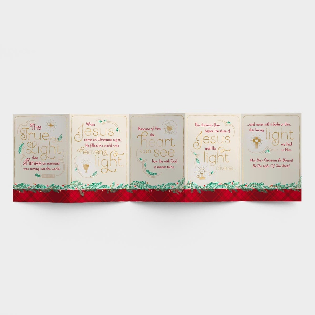 GC: Christmas Boxed True Light (Five Panel) (08/25)